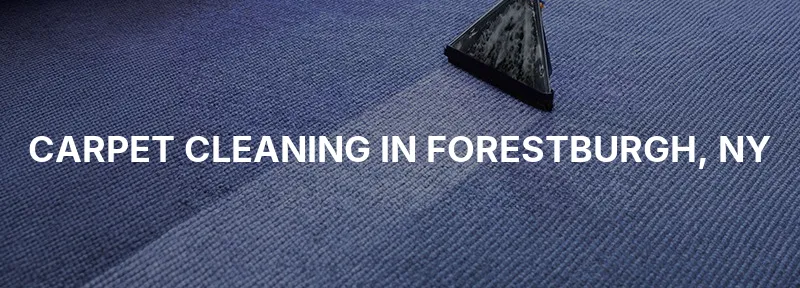 Carpet Cleaning in Forestburgh, NY