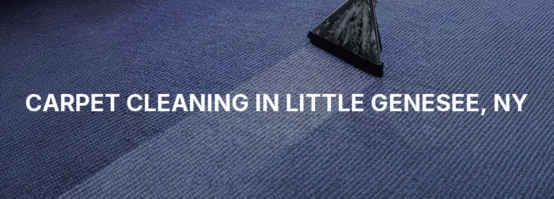 Carpet Cleaning in Little Genesee, NY