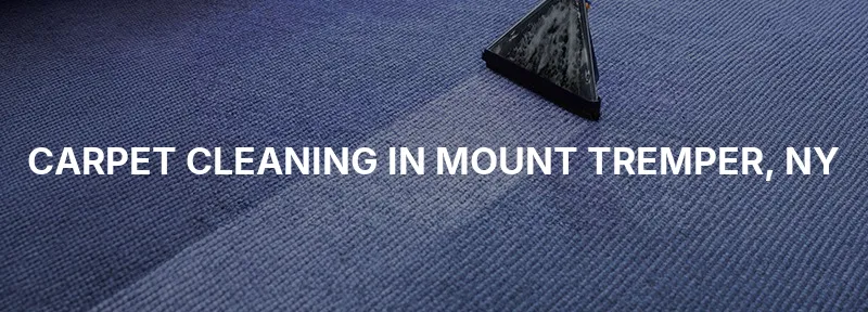 Carpet Cleaning in Mount Tremper, NY