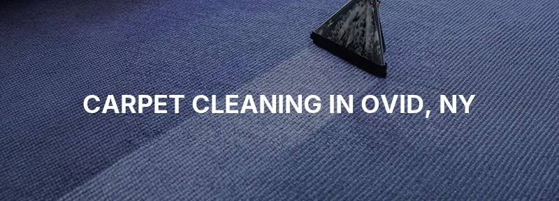 Carpet Cleaning in Ovid, NY
