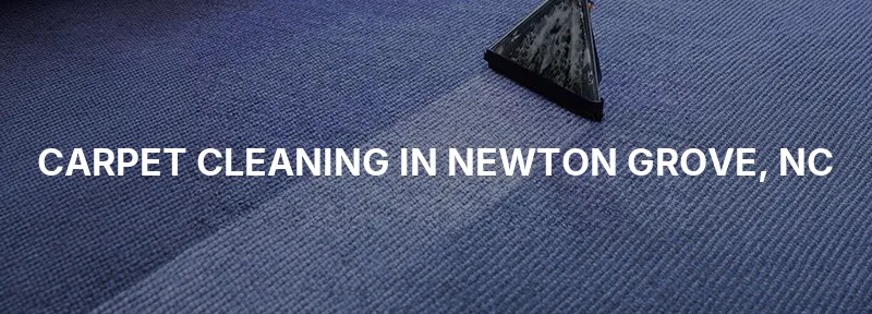 Carpet Cleaning in Newton Grove, NC