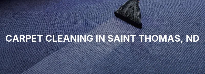 Carpet Cleaning in Saint Thomas, ND