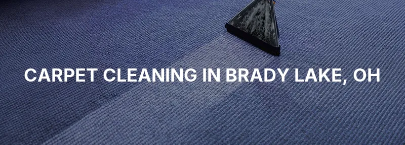 Carpet Cleaning in Brady Lake, OH