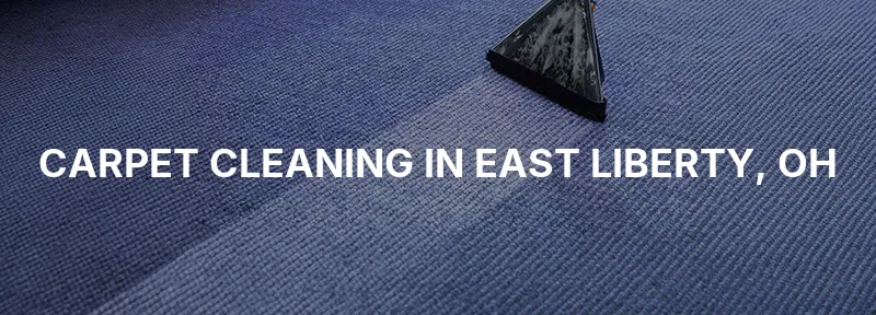 Carpet Cleaning in East Liberty, OH