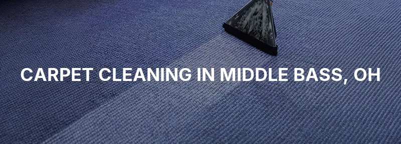 Carpet Cleaning in Middle Bass, OH