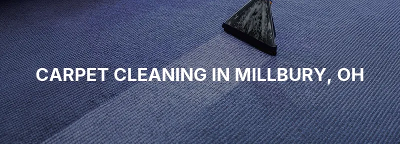 Carpet Cleaning in Millbury, OH