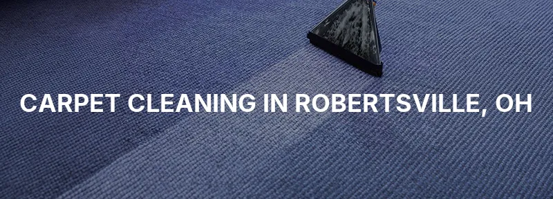 Carpet Cleaning in Robertsville, OH