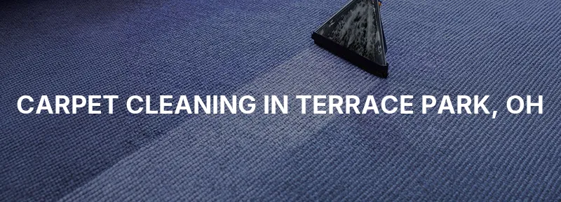 Carpet Cleaning in Terrace Park, OH