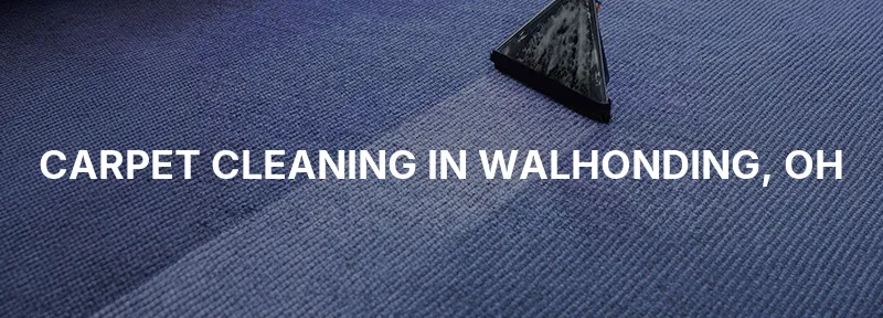 Carpet Cleaning in Walhonding, OH
