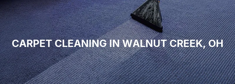 Carpet Cleaning in Walnut Creek, OH