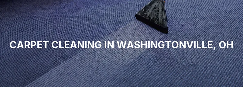 Carpet Cleaning in Washingtonville, OH