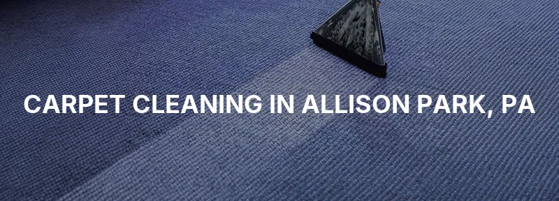 Carpet Cleaning in Allison Park, PA