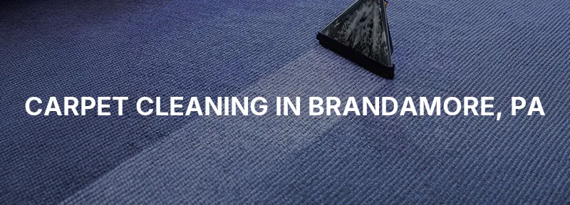 Carpet Cleaning in Brandamore, PA