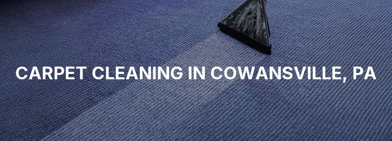 Carpet Cleaning in Cowansville, PA