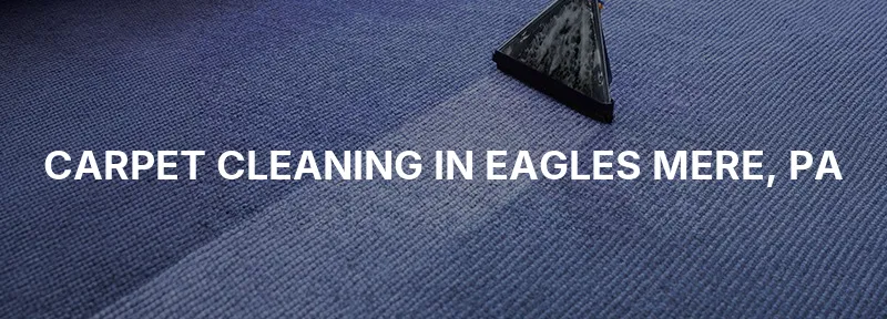 Carpet Cleaning in Eagles Mere, PA