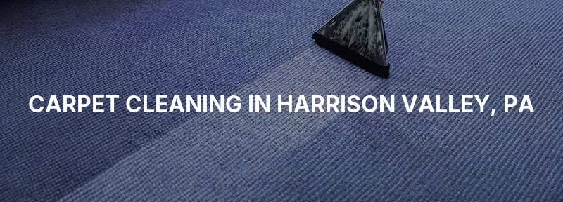 Carpet Cleaning in Harrison Valley, PA