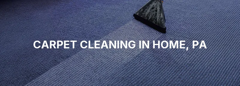Carpet Cleaning in Home, PA