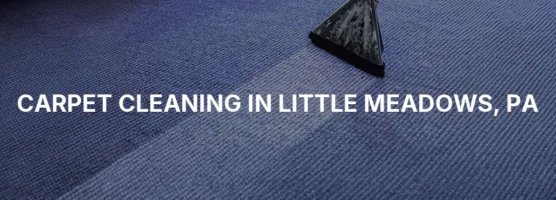 Carpet Cleaning in Little Meadows, PA