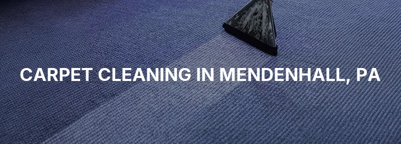 Carpet Cleaning in Mendenhall, PA