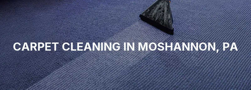 Carpet Cleaning in Moshannon, PA