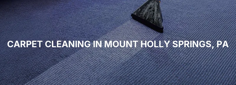 Carpet Cleaning in Mount Holly Springs, PA