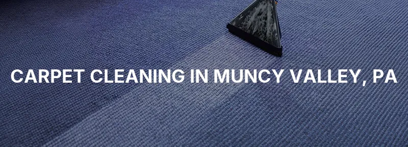 Carpet Cleaning in Muncy Valley, PA