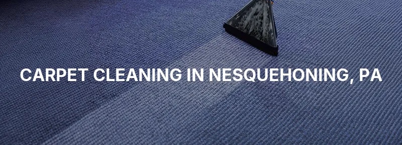 Carpet Cleaning in Nesquehoning, PA