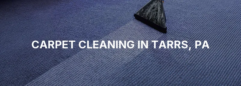 Carpet Cleaning in Tarrs, PA