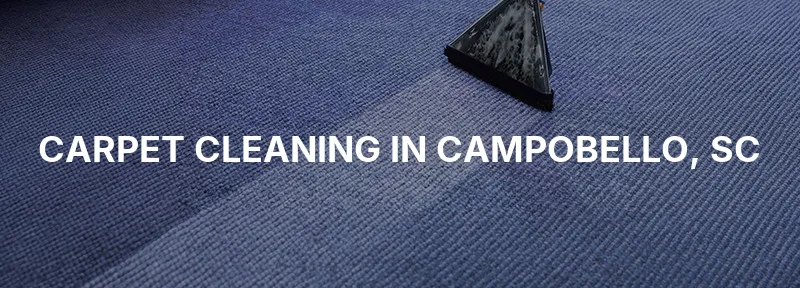 Carpet Cleaning in Campobello, SC