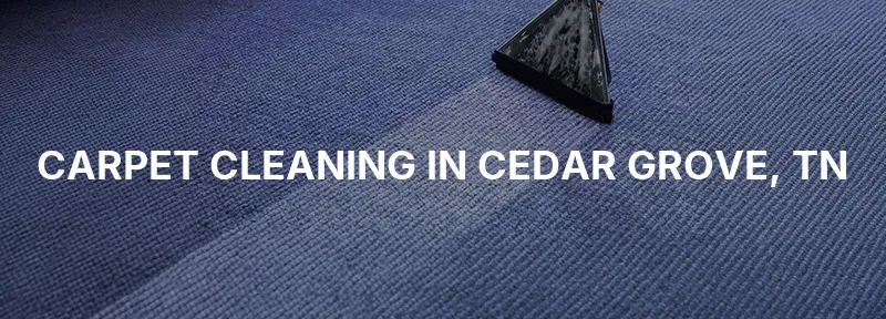 Carpet Cleaning in Cedar Grove, TN