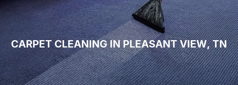 Carpet Cleaning in Pleasant View, TN