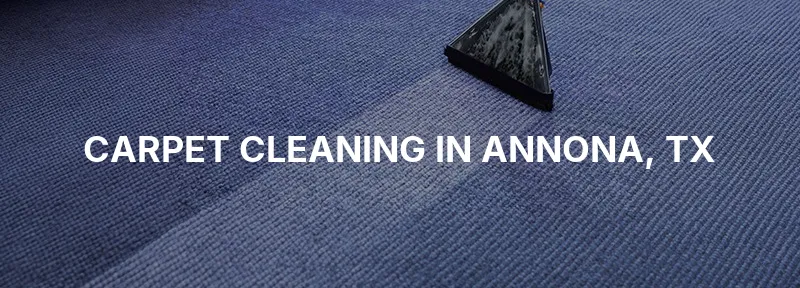 Carpet Cleaning in Annona, TX