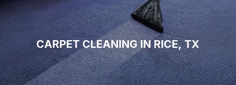 Carpet Cleaning in Rice, TX