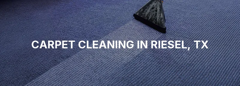 Carpet Cleaning in Riesel, TX