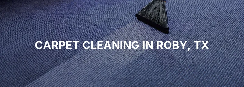 Carpet Cleaning in Roby, TX