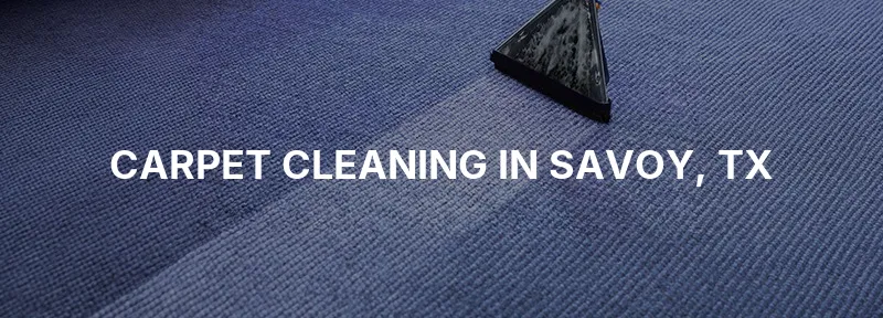 Carpet Cleaning in Savoy, TX