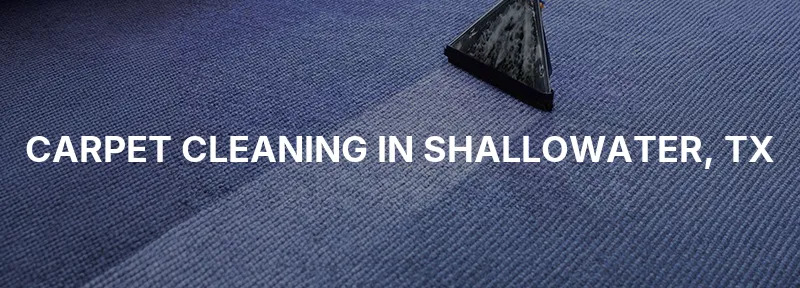 Carpet Cleaning in Shallowater, TX