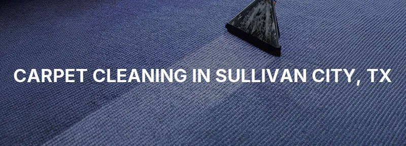 Carpet Cleaning in Sullivan City, TX