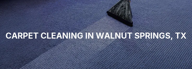 Carpet Cleaning in Walnut Springs, TX