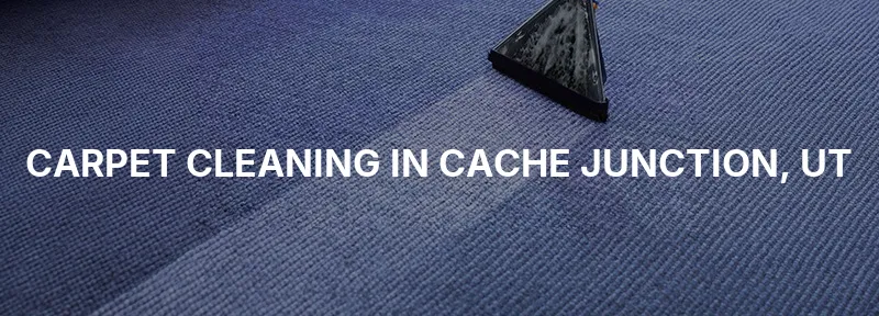 Carpet Cleaning in Cache Junction, UT