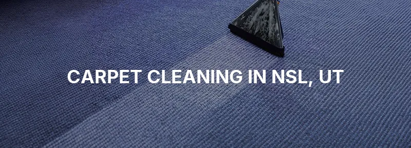 Carpet Cleaning in NSL, UT
