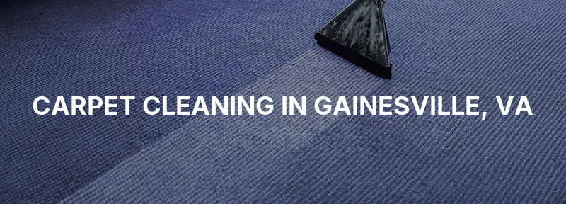 Carpet Cleaning in Gainesville, VA