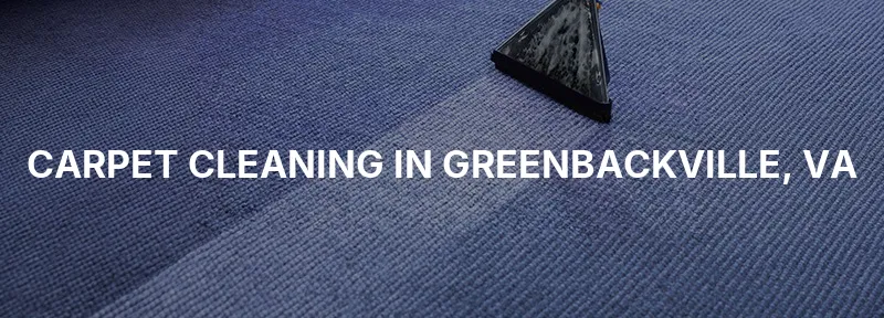 Carpet Cleaning in Greenbackville, VA