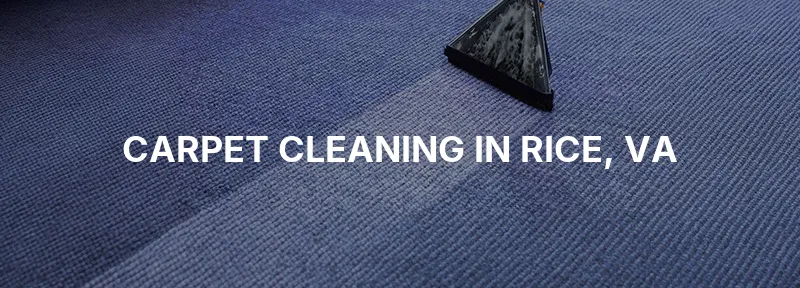 Carpet Cleaning in Rice, VA