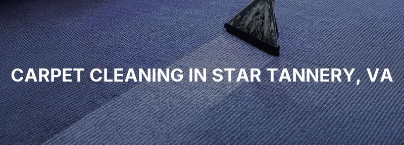 Carpet Cleaning in Star Tannery, VA
