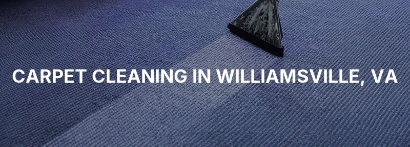 Carpet Cleaning in Williamsville, VA