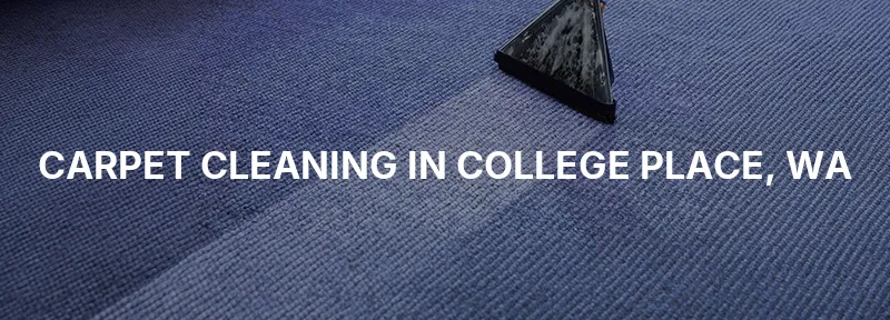 Carpet Cleaning in College Place, WA