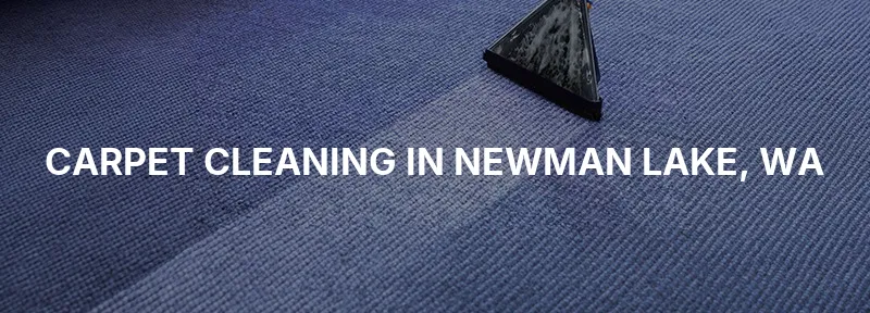 Carpet Cleaning in Newman Lake, WA