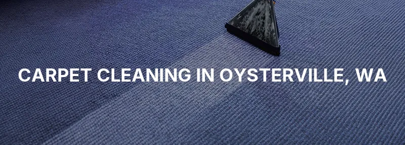 Carpet Cleaning in Oysterville, WA