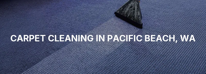 Carpet Cleaning in Pacific Beach, WA